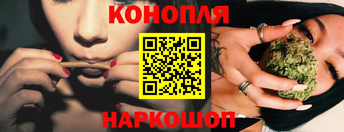Шишки марихуана планчик  Вход с VPN  Будённовск  Шишки марихуана индика  Марихуана Ganja 